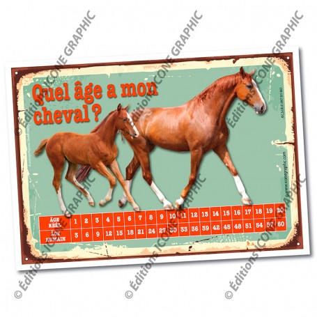 magnet âge des chevaux