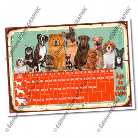 magnet âge des chiens