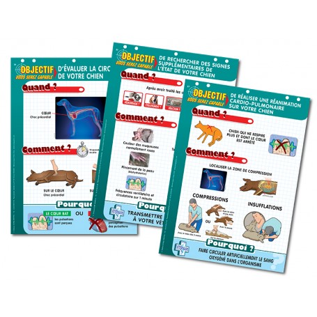 LE MEMORY-BOARD PREMIERS SECOURS CHIEN CHAT