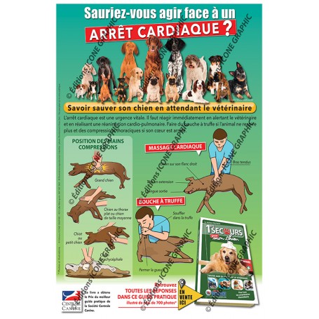 AFFICHE PREMIERS SECOURS CHIEN : ARRET CARDIAQUE