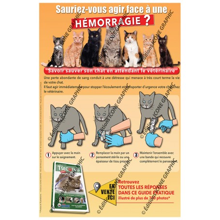 AFFICHE PREMIERS SECOURS CHAT : HEMORRAGIE