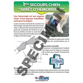 LE KIT ARRET D'HEMORRAGIE DU CHIEN
