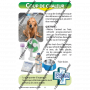 MEMENTO 1ERS SECOURS AUX CHASSEURS ET A LEURS CHIENS
