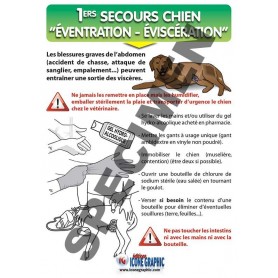 LE KIT EVENTRATION DU CHIEN