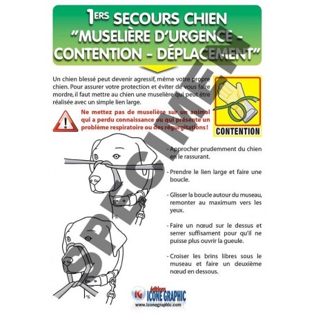LE KIT CONTENTION DU CHIEN