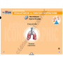 LA CLE USB FORMATEUR PREMIERS SECOURS EN EQUIPE - PSE1