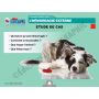 LA CLE USB FORMATEUR : PREMIERS SECOURS CHIEN-CHAT