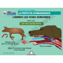 LA CLE USB FORMATEUR : PREMIERS SECOURS CHIEN-CHAT