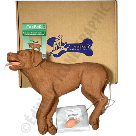 MANNEQUIN DE FORMATION A LA REANIMATION CARDIO-PULMONAIRE DU CHIEN (CasPeR)