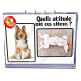 CHEVALET PEDAGOGIQUE : PREMIERS SECOURS CHIENS ET CHATS
