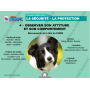 MISE A JOUR : CLE USB FORMATEUR PREMIERS SECOURS CHIENS CHATS (EN LIGNE)