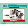 MISE A JOUR : CLE USB FORMATEUR PREMIERS SECOURS CHIENS CHATS (EN LIGNE)