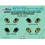 MISE A JOUR : CLE USB FORMATEUR PREMIERS SECOURS CHIENS CHATS (EN LIGNE)
