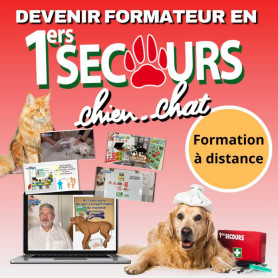 Formation à distance de formateur en premiers secours chiens et chats