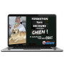 Formation aux premiers secours canins et félins en ligne