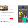 Formation aux premiers secours canins et félins en ligne
