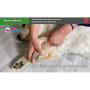 Formation aux premiers secours canins et félins en ligne