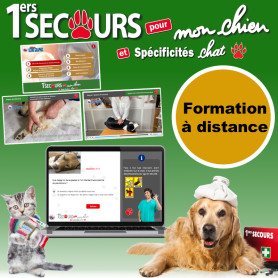 Formation aux premiers secours canins et félins en ligne