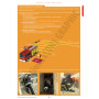 LE LIVRE EQUIPIER - INTERVENANT(E) DES OPERATIONS DE SECOURS - SPV-SPP