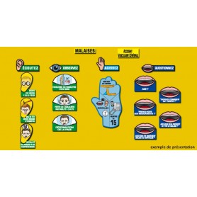 FEUTRINE D'AFFICHAGE POUR LOGIGRAPH