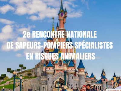 Actu : Les rencontres nationales des sapeurs-pompiers spécialistes animaliers