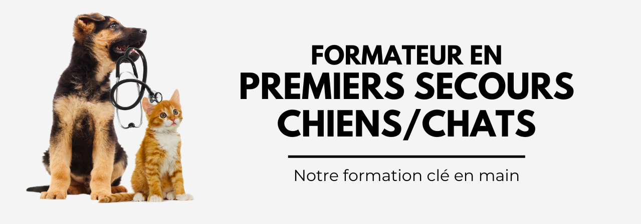 Devenir formateur chien chat
